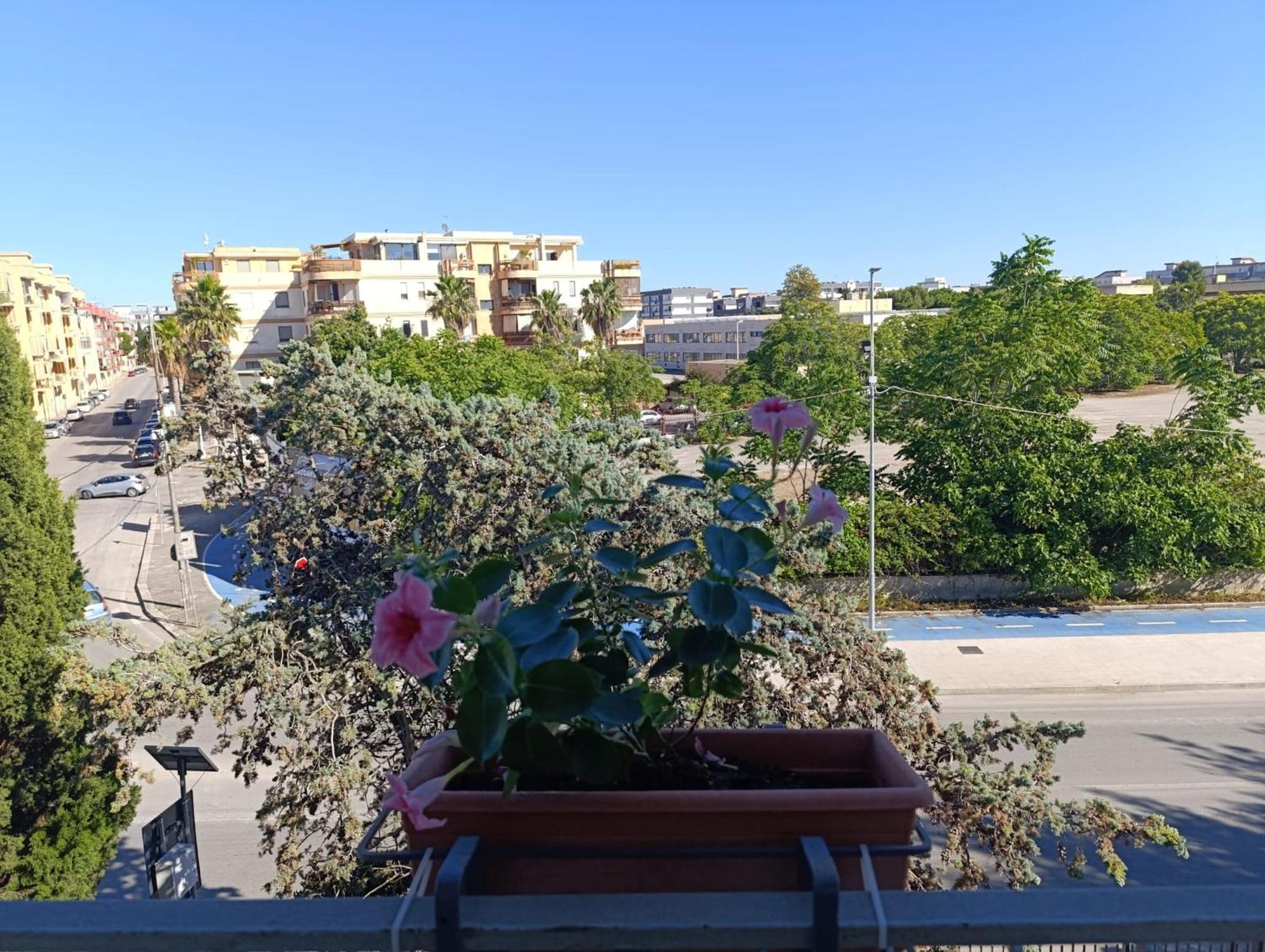 Le Rondini Apartment Trani Ngoại thất bức ảnh
